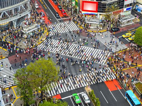 The Crossing is located near Shibuya Station is the fourth-busiest railway station in Japan. It has six exits, with one of them named Hachikō in honour of the famous dog, the symbol of faithfulness in Japan. The statue stands near one of Shibuya's corners at the crossroad. Video by Dmitry Moiseenko. Photos by Sergey Semenov and Dmitry …